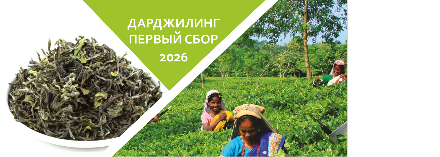 Весенний Дарджилинг - 2026!